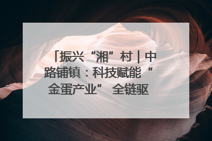 振兴“湘”村｜中路铺镇：科技赋能“金蛋产业” 全链驱动乡村振兴