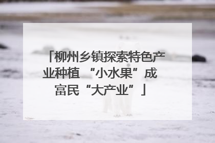柳州乡镇探索特色产业种植 “小水果”成富民“大产业”