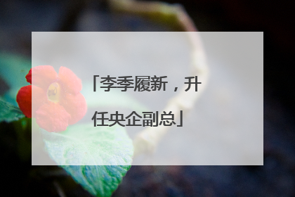 李季履新，升任央企副总