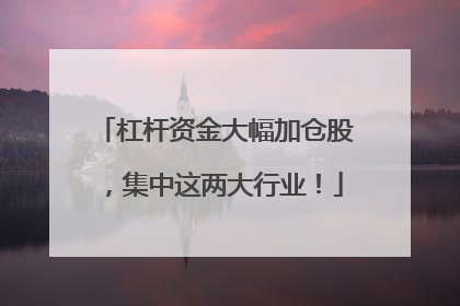 杠杆资金大幅加仓股，集中这两大行业！