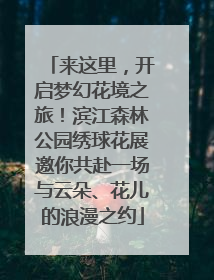来这里，开启梦幻花境之旅！滨江森林公园绣球花展邀你共赴一场与云朵、花儿的浪漫之约