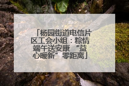 杨园街道电信片区工会小组：粽情端午送安康 “益心暖新”零距离