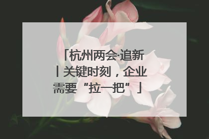 杭州两会·追新丨关键时刻，企业需要“拉一把”
