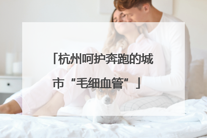杭州呵护奔跑的城市“毛细血管”