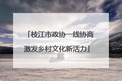 枝江市政协一线协商激发乡村文化新活力