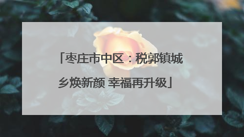枣庄市中区：税郭镇城乡焕新颜 幸福再升级