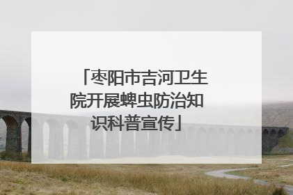 枣阳市吉河卫生院开展蜱虫防治知识科普宣传