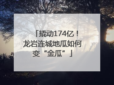 撬动174亿！龙岩连城地瓜如何变“金瓜”