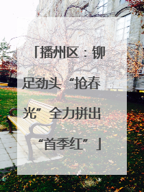 播州区：铆足劲头“抢春光”全力拼出“首季红”