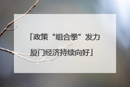 政策“组合拳”发力 厦门经济持续向好