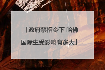 政府禁招令下 哈佛国际生受影响有多大