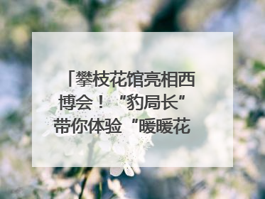 攀枝花馆亮相西博会！“豹局长”带你体验“暖暖花城”独特魅力｜西博视界