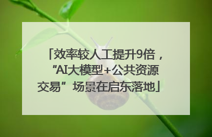 效率较人工提升9倍，“AI大模型+公共资源交易”场景在启东落地