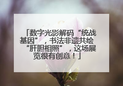 数字光影解码“统战基因”，书法非遗共绘“肝胆相照”，这场展览很有创意！