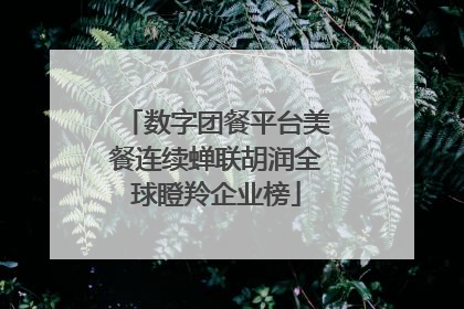 数字团餐平台美餐连续蝉联胡润全球瞪羚企业榜