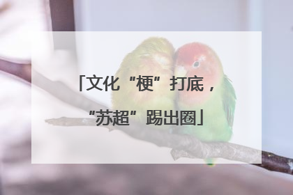 文化“梗”打底，“苏超”踢出圈