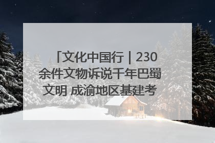 文化中国行｜230余件文物诉说千年巴蜀文明 成渝地区基建考古成果展开展