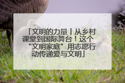 文明的力量丨从乡村课堂到国际舞台！这个“文明家庭”用志愿行动传递爱与文明