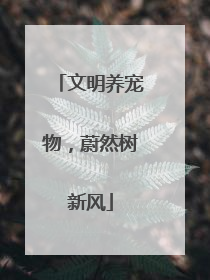 文明养宠物，蔚然树新风