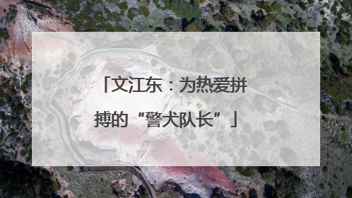 文江东：为热爱拼搏的“警犬队长”