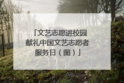文艺志愿进校园 献礼中国文艺志愿者服务日（图）