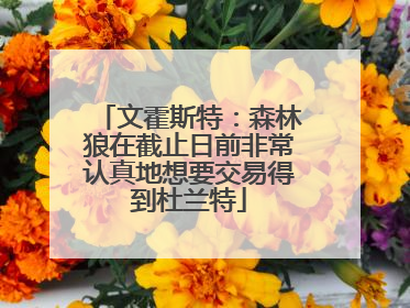 文霍斯特：森林狼在截止日前非常认真地想要交易得到杜兰特