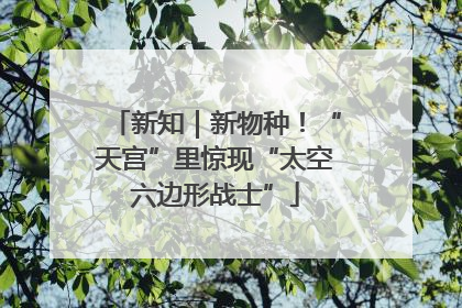 新知｜新物种！“天宫”里惊现“太空六边形战士”