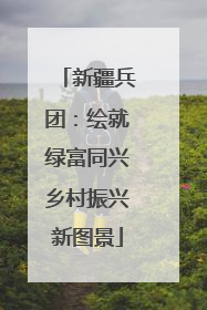 新疆兵团：绘就绿富同兴乡村振兴新图景