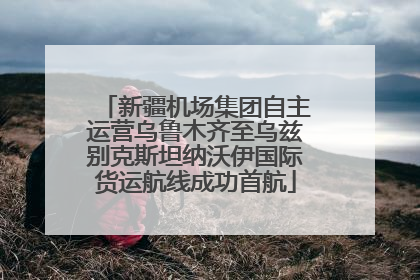 新疆机场集团自主运营乌鲁木齐至乌兹别克斯坦纳沃伊国际货运航线成功首航