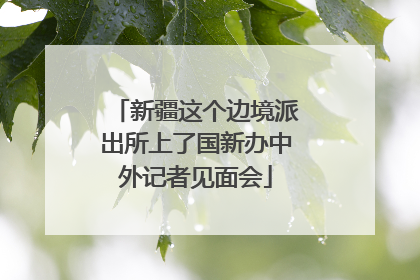 新疆这个边境派出所上了国新办中外记者见面会