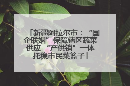 新疆阿拉尔市：“国企联姻”保障辖区蔬菜供应 “产供销”一体托稳市民菜篮子