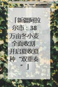 新疆阿拉尔市：38万亩冬小麦全面收割 开启夏收夏种“双重奏”