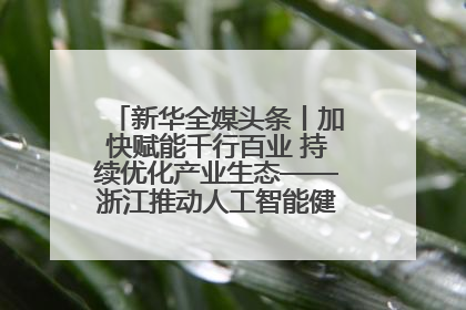 新华全媒头条丨加快赋能千行百业 持续优化产业生态——浙江推动人工智能健康有序发展观察