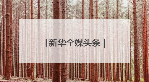 新华全媒头条｜加快赋能千行百业 持续优化产业生态——浙江推动人工智能健康有序发展观察