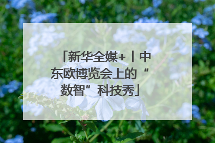 新华全媒+丨中东欧博览会上的“数智”科技秀