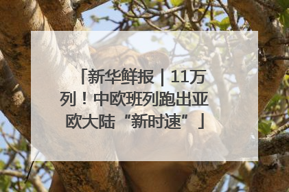 新华鲜报｜11万列！中欧班列跑出亚欧大陆“新时速”