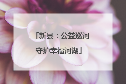 新县：公益巡河守护幸福河湖