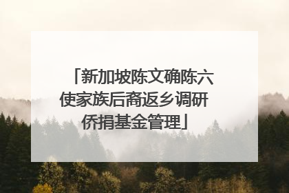 新加坡陈文确陈六使家族后裔返乡调研侨捐基金管理