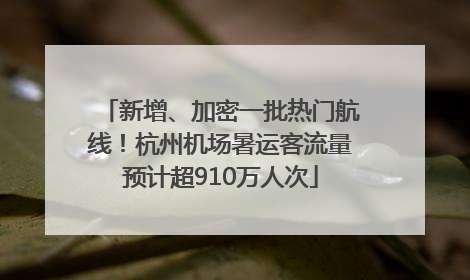 新增、加密一批热门航线！杭州机场暑运客流量预计超910万人次