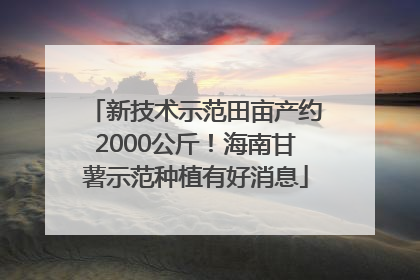 新技术示范田亩产约2000公斤！海南甘薯示范种植有好消息