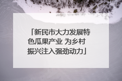 新民市大力发展特色瓜果产业 为乡村振兴注入强劲动力