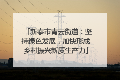 新泰市青云街道：坚持绿色发展，加快形成乡村振兴新质生产力