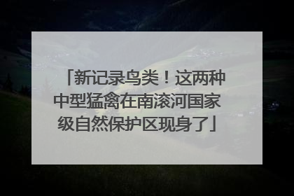 新记录鸟类！这两种中型猛禽在南滚河国家级自然保护区现身了
