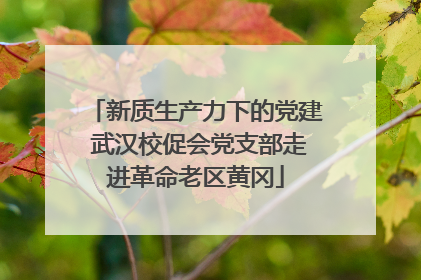 新质生产力下的党建 武汉校促会党支部走进革命老区黄冈