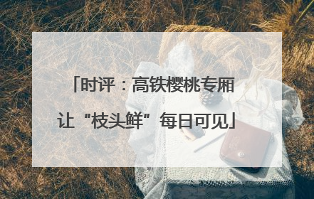 时评：高铁樱桃专厢 让“枝头鲜”每日可见