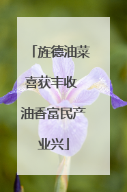 旌德油菜喜获丰收 油香富民产业兴