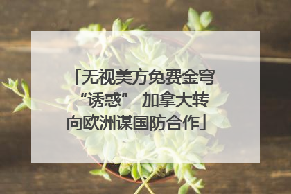 无视美方免费金穹“诱惑” 加拿大转向欧洲谋国防合作