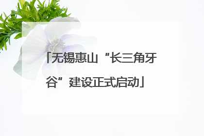 无锡惠山“长三角牙谷”建设正式启动