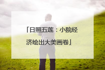 日照五莲：小院经济绘出大美画卷