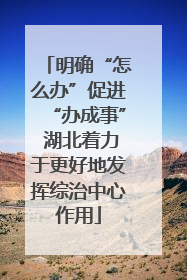 明确“怎么办”促进“办成事” 湖北着力于更好地发挥综治中心作用